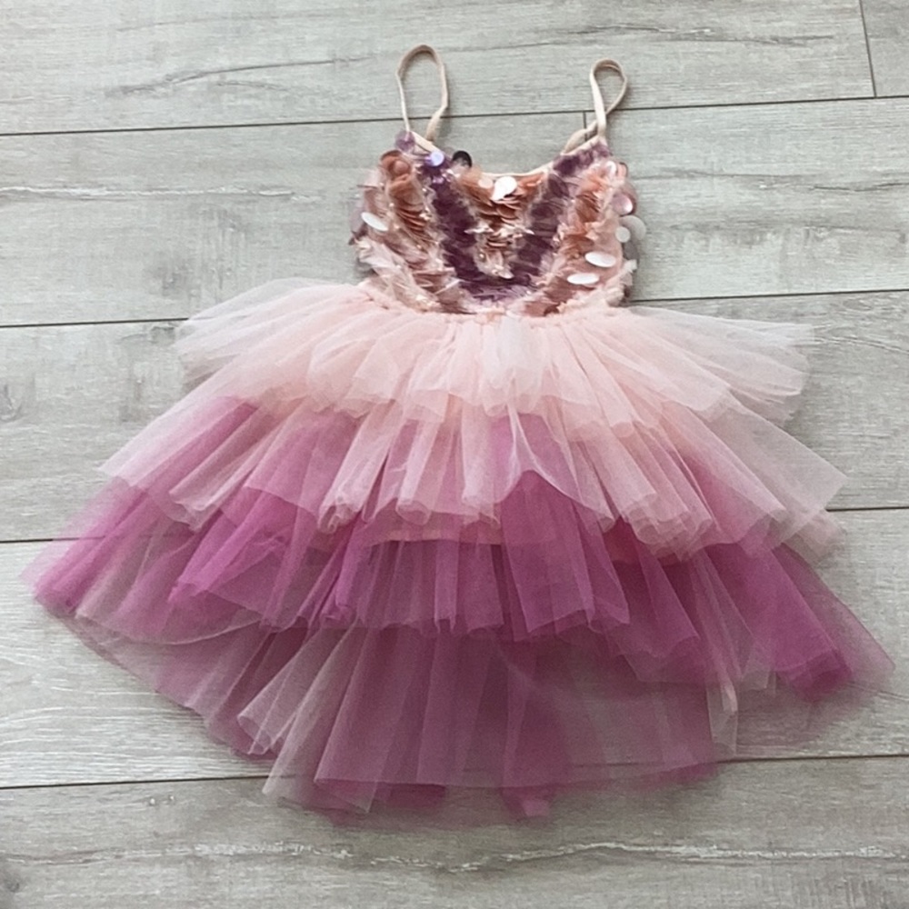 Tutu Du Monde tool and sequin dress